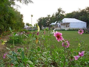 Jungle View Resort Sawai Madhopur Exterior photo
