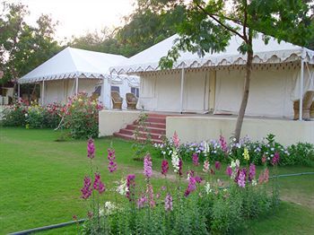 Jungle View Resort Sawai Madhopur Exterior photo